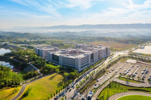 沙坪壩 四個(gè)重大 賽馬比拼 抓好 重大改革 向改革要?jiǎng)恿?要活力 要效益