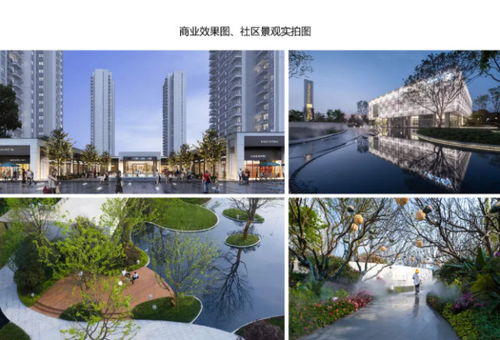 2020年產(chǎn)品力 入圍品質項目路演報告合集——聚焦房產(chǎn)長沙站與四川房地產(chǎn)